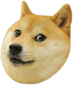 Doge